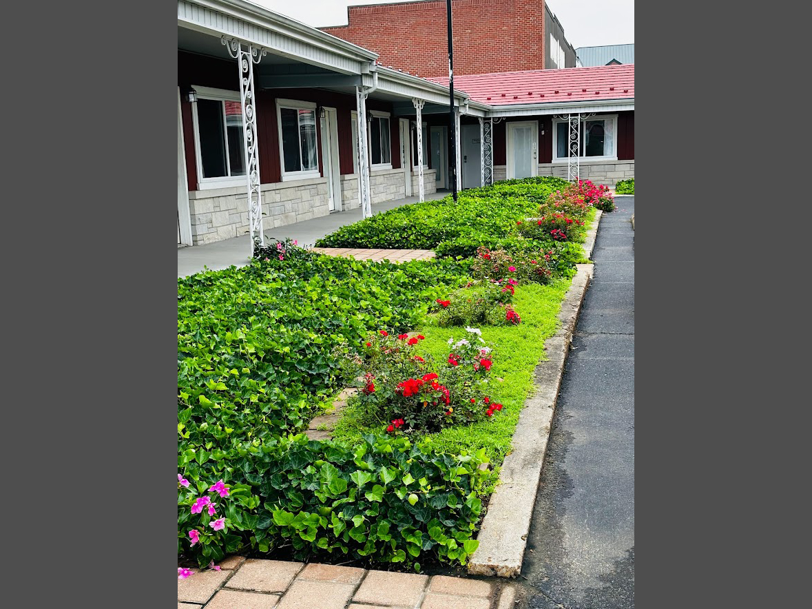 Hotel Garden View