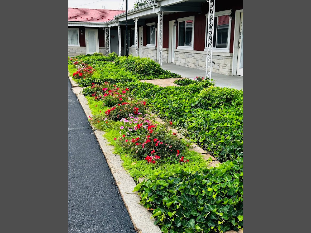 Hotel Garden View